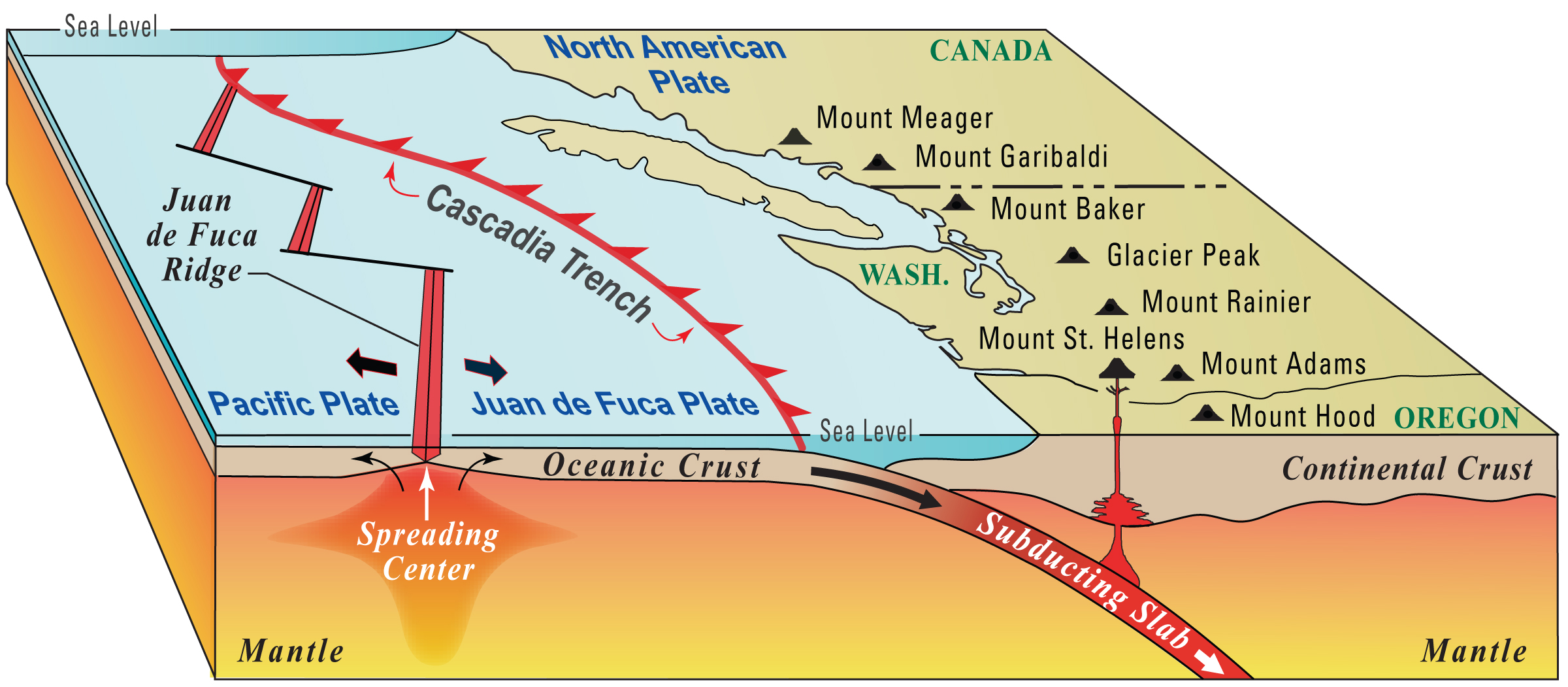 Juan de Fuca Subduction plate infographic