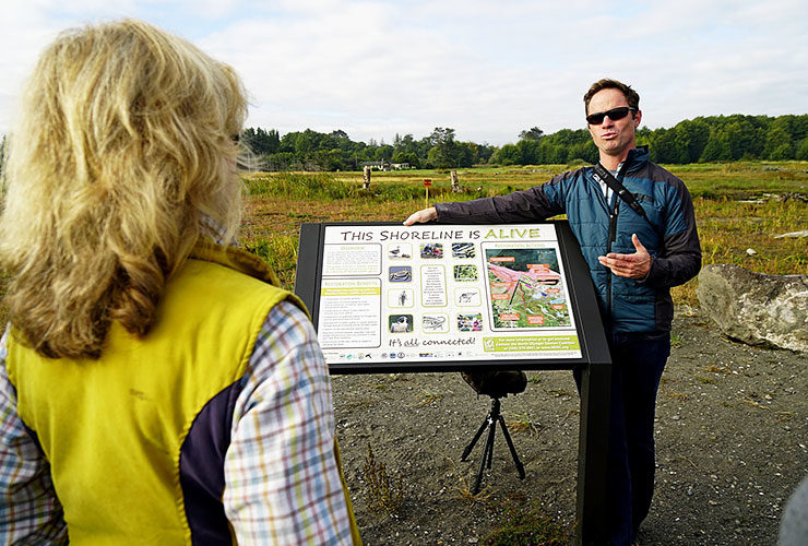 Protecting the Dungeness