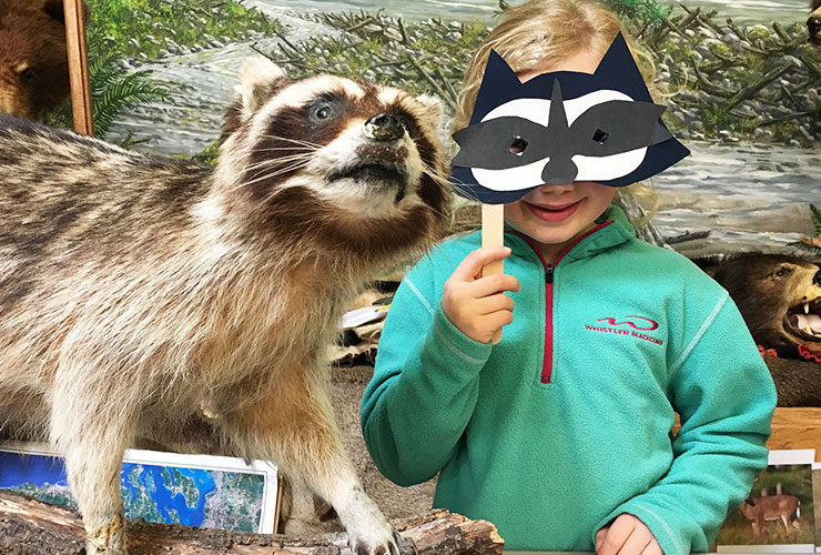 15 Things To Do With Kids