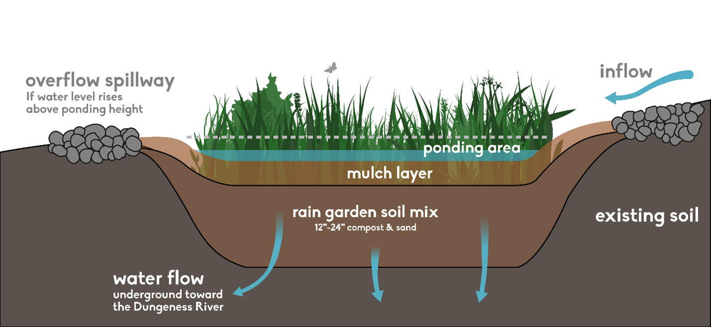 Build a Rain Garden  12,000 Rain Gardens