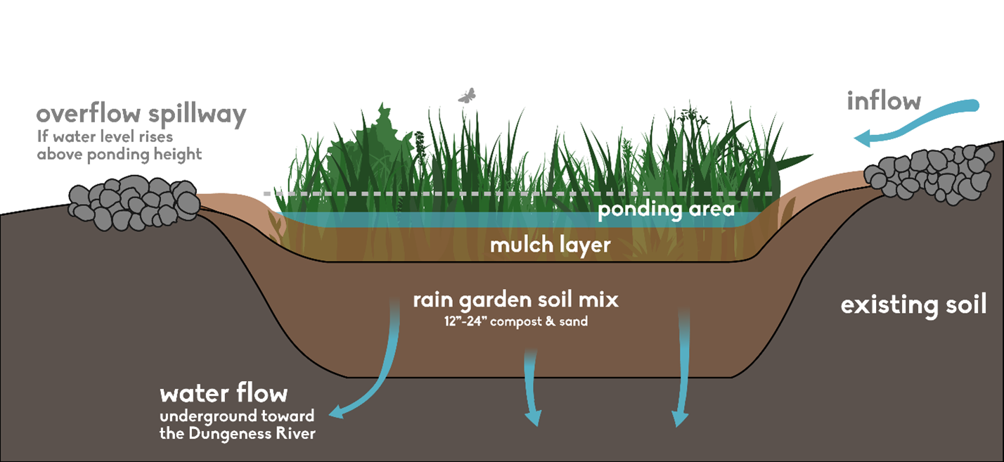 Rain Garden Rain Garden