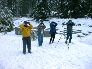 Birders in snow—Photo: Bob Boekelheide