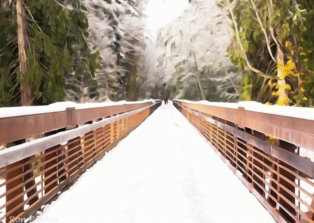 Snow in the Lowlands Dungeness River Nature Center
