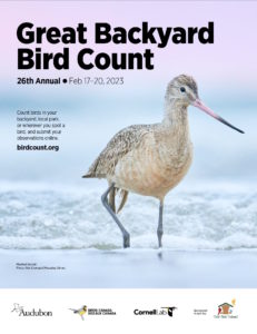 Great Backyard Bird Count - Dungeness River Nature Center