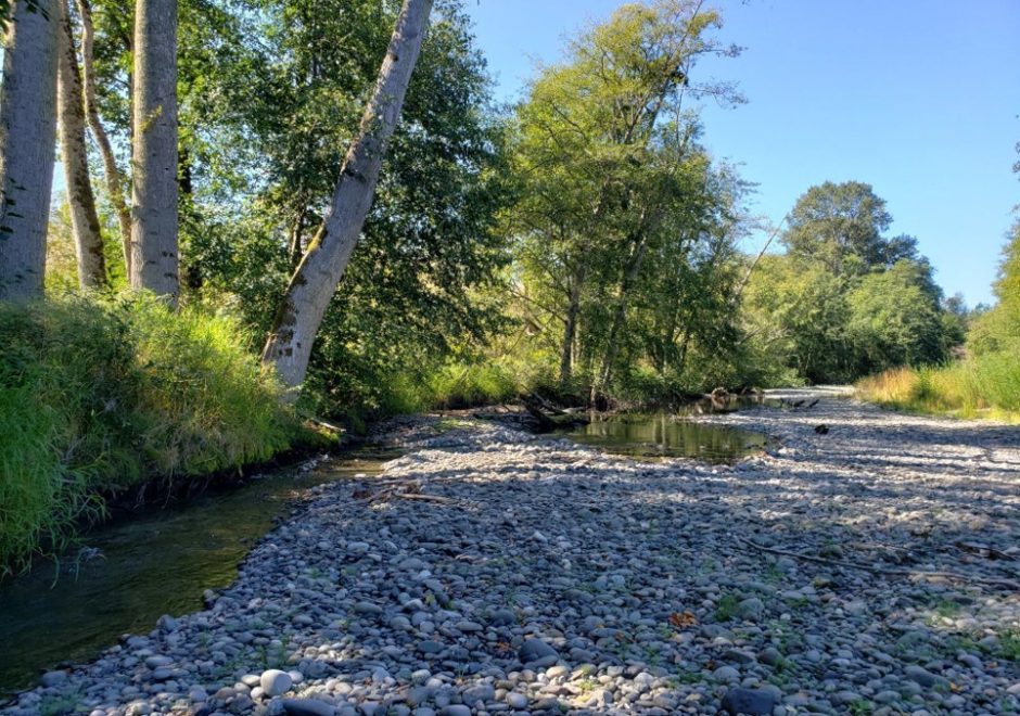 News Dungeness River Nature Center