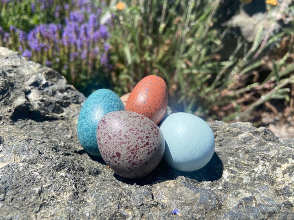 Nature Art for Kids: Painting Bird Eggs - Dungeness River Nature Center