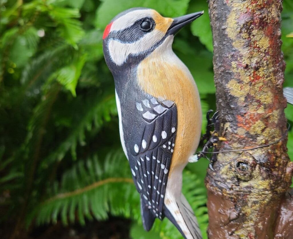 Kids in Science Program: Binoculars and Birds