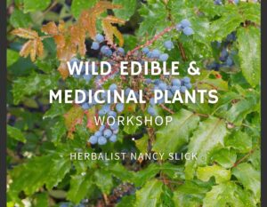 Wild Edible & Medicinal Plants 